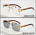 Solar Cheetah Sun Glasses